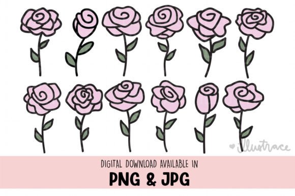 Reviewing Roses Png, Rose Png, Roses Svg for Embroidery