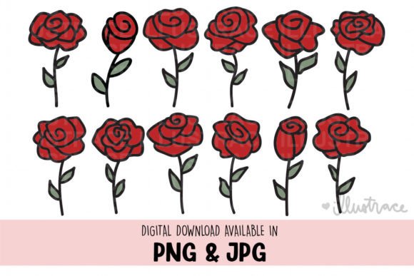 Roses Png, Rose Png, Rose Svg: A Designer’s Review